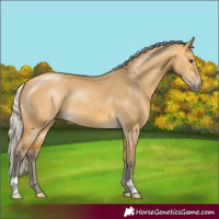 Horse Color:Silver Buckskin Dun 