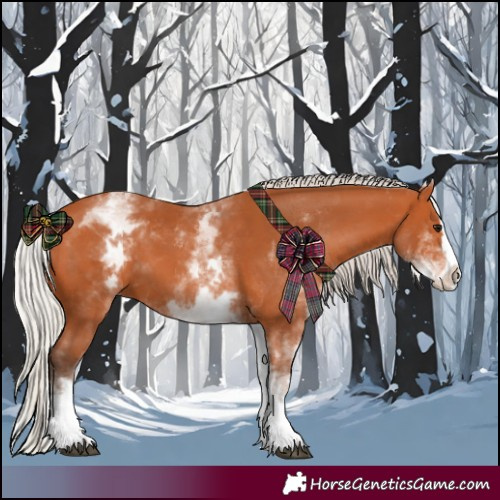Horse Color:White Spotted Silver Bay Splash 