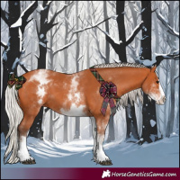 Horse Color:White Spotted Silver Bay Splash 