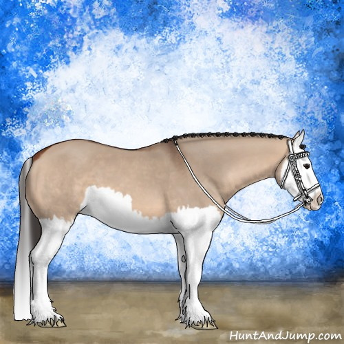 Horse Color:Bay Dun Splash 