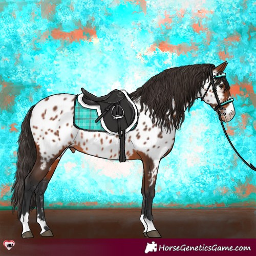 Horse Color:Bay Near Leopard