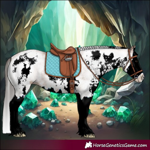 Horse Color:White Spotted Bay Splash 