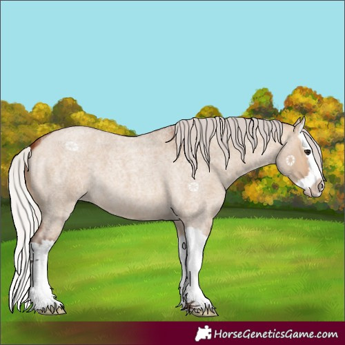 Horse Color:Silver Brown Roan Dun Splash 