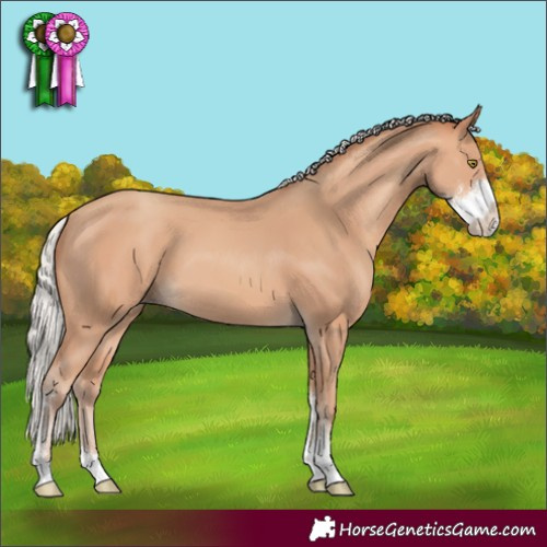 Horse Color:Silver Amber Champagne Sabino 