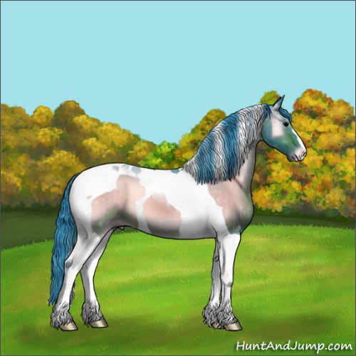 Horse Color:Watercolor Bay Onyx Tobiano 