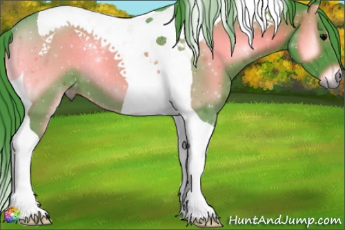 Horse Color:ERROR: UNKNOWN ANOMALY