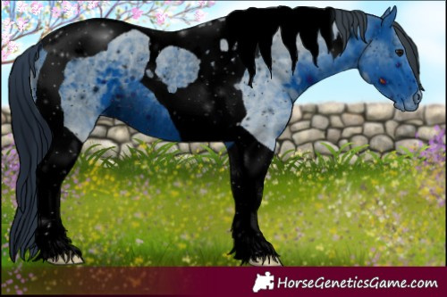 Horse Color:ERROR: UNKNOWN ANOMALY