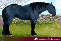 Horse Color:ERROR: UNKNOWN ANOMALY