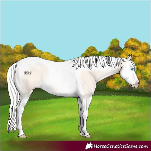 Horse Color:Silver Perlino Dun Splash Tobiano 
