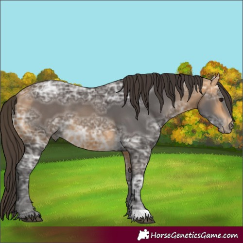 Horse Color:Buckskin Ice 