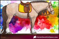 Horse Color:Amber Champagne 