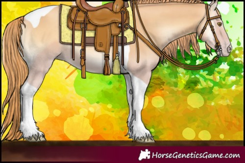Horse Color:Gold Champagne Onyx Tobiano 