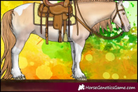 Horse Color:Gold Champagne Onyx Tobiano