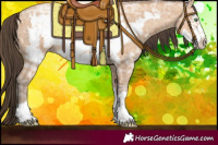 Horse Color:Amber Champagne Ice Frame