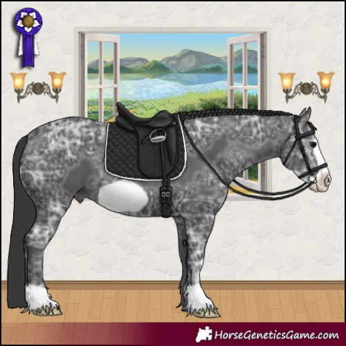 Horse Color:Black Ice Frame 