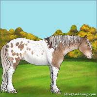 Horse Color:Silver Brown Dun Tobiano Blanket Rabicano 