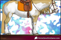 Horse Color:Watercolor Red Onyx Frame