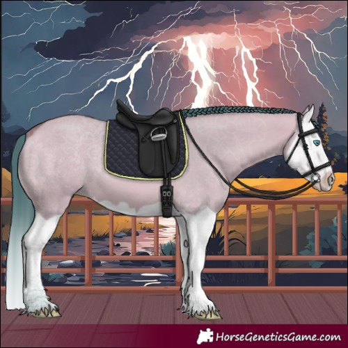 Horse Color:Watercolor Bay Dun Splash 