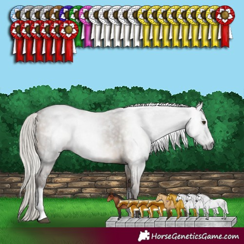 Horse Color:Gray White Spotted Silver Brown Dun Sabino Rabicano 