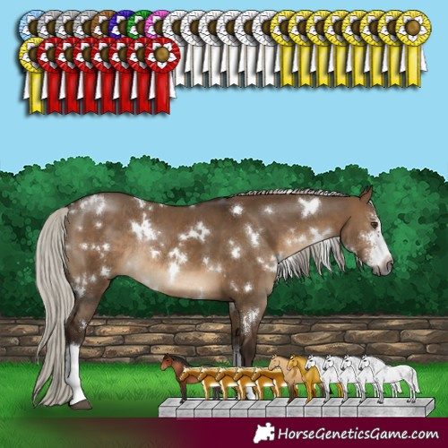 Horse Color:Gray White Spotted Silver Brown Dun Sabino Rabicano