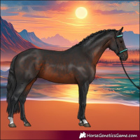 Horse Color:Brown 