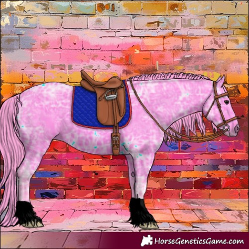 Horse Color:Watercolor Bay Ice 