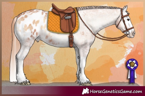 Horse Color:Red Onyx Ice Splash Appaloosa 