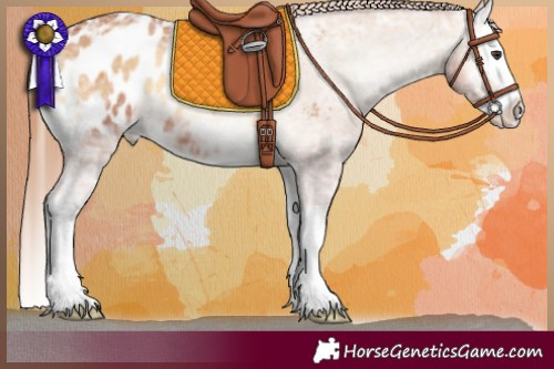 Horse Color:Red Onyx Ice Splash Appaloosa 