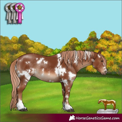 Horse Color:White Spotted Chestnut Rabicano 