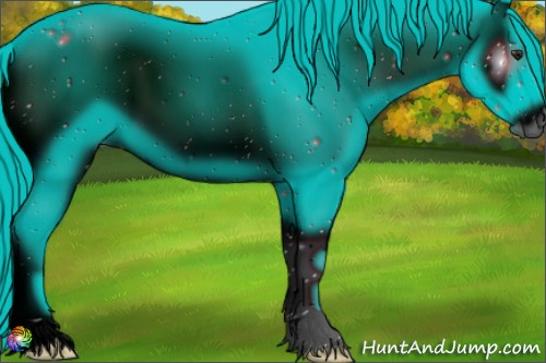 Horse Color:ERROR: UNKNOWN ANOMALY