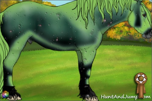 Horse Color:ERROR: UNKNOWN ANOMALY