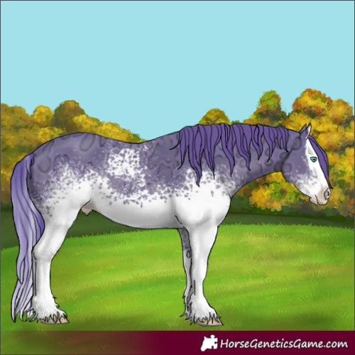 Horse Color:Watercolor White Spotted Black Ice Splash 