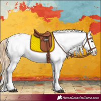 Horse Color:Chestnut Snowflake Varnish
