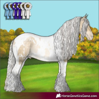 Horse Color:White Spotted Silver Buckskin Pearl Dun Tobiano Rabicano