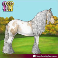 Horse Color:White Spotted Silver Buckskin Pearl Tobiano Rabicano