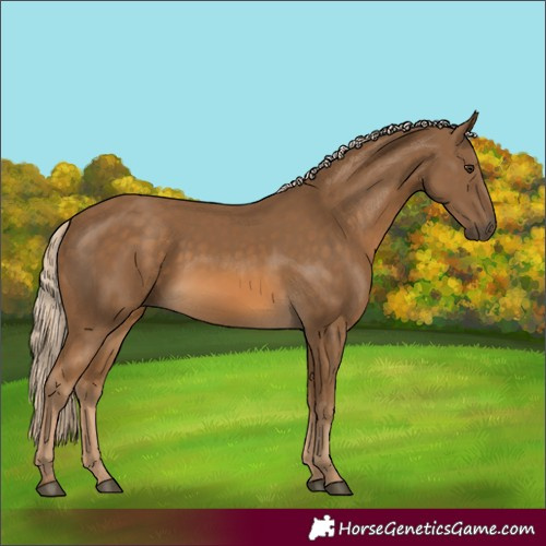 Horse Color:Chocolate Palomino 