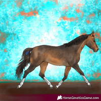 Horse Color:Buckskin Tobiano 