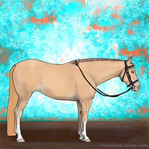 Horse Color:Gold Champagne 