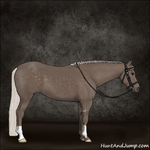 Horse Color:Silver Black