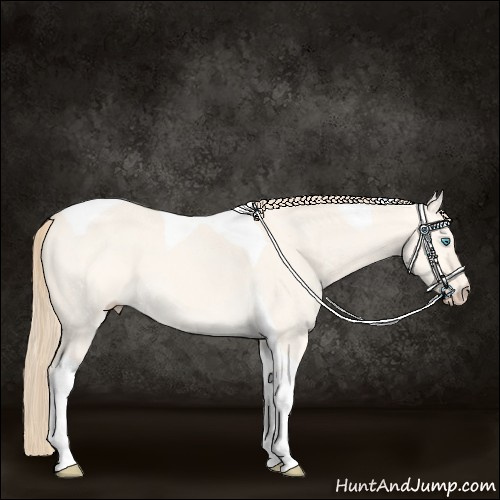 Horse Color:Perlino Dun Tobiano 