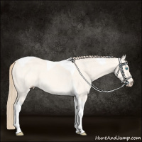 Horse Color:Perlino Dun Tobiano 