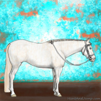 Horse Color:Buckskin Roan Pearl and Buckskin Roan Pearl Appaloosa