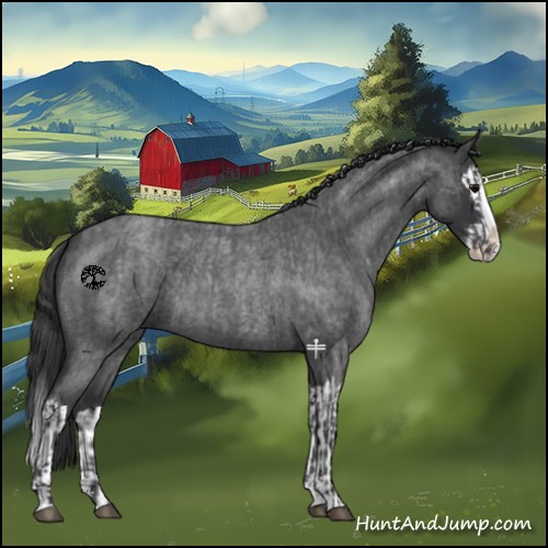 Horse Color:Blue Roan Sabino Splash  and Blue Roan Sabino Splash 
