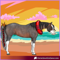 Horse Color:Brown Roan Splash 