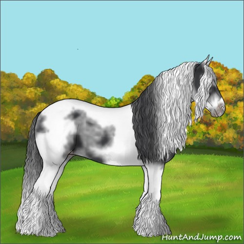 Horse Color:White Spotted Black Splash Tobiano Frame Appaloosa 