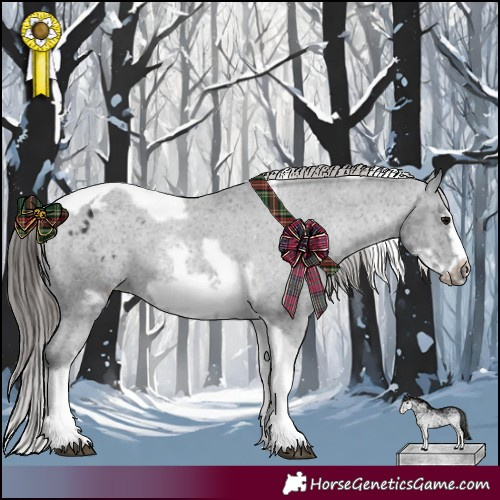 Horse Color:White Spotted Black Splash Tobiano Frame Varnish