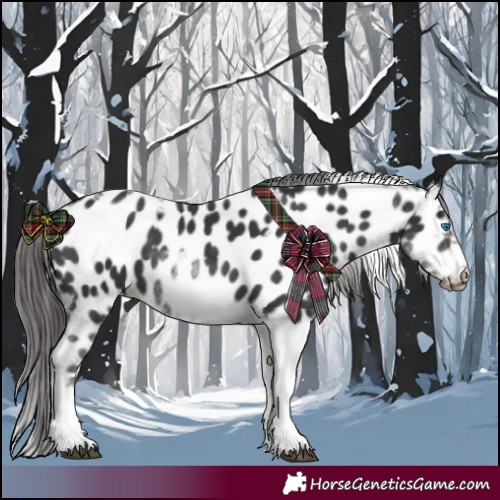 Horse Color:White Spotted Black Splash Tobiano Frame Appaloosa 