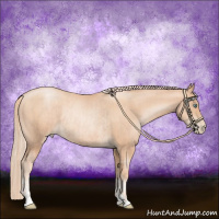 Horse Color:Gold Champagne Pearl Rabicano and Gold Champagne Pearl Rabicano