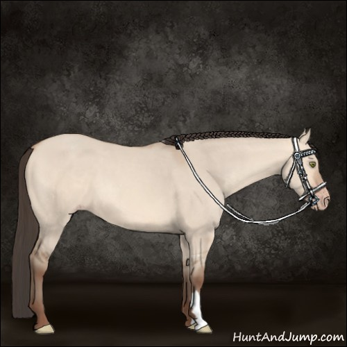 Horse Color:Amber Champagne Dun 