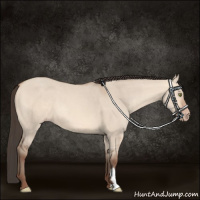 Horse Color:Amber Champagne Dun